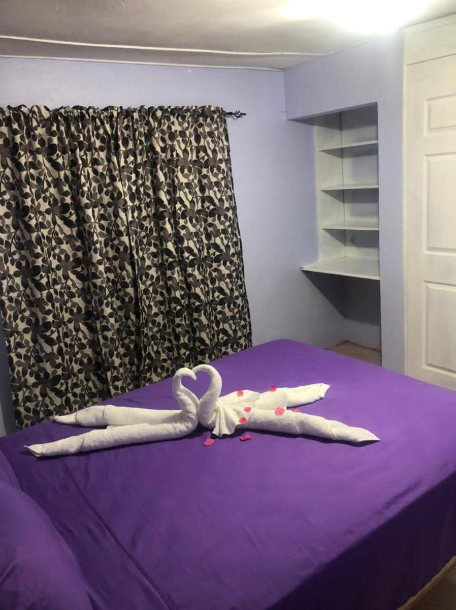Blue Mountain Gem - Housity