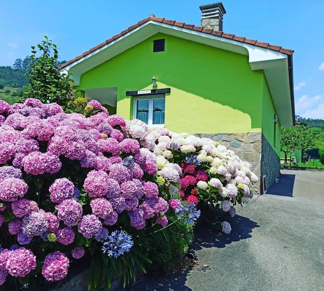 Casina verde manzana - Housity