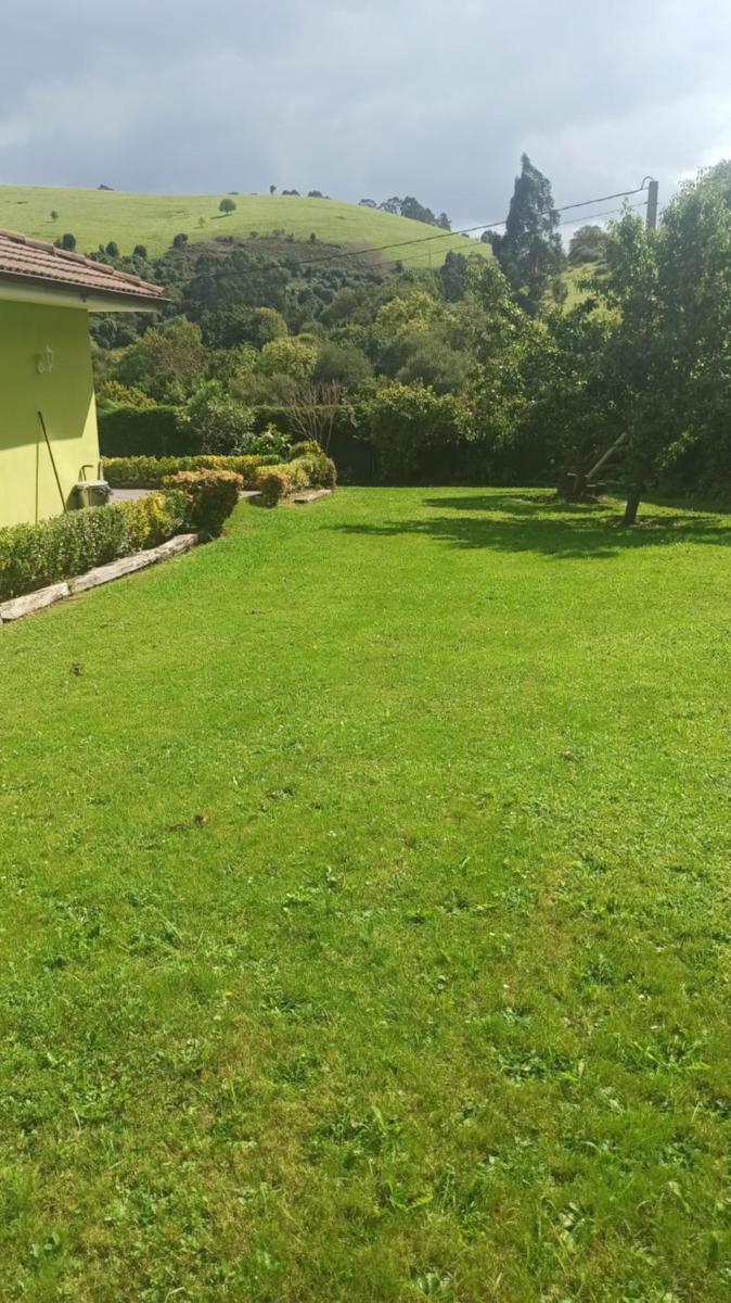 Casina verde manzana - Housity