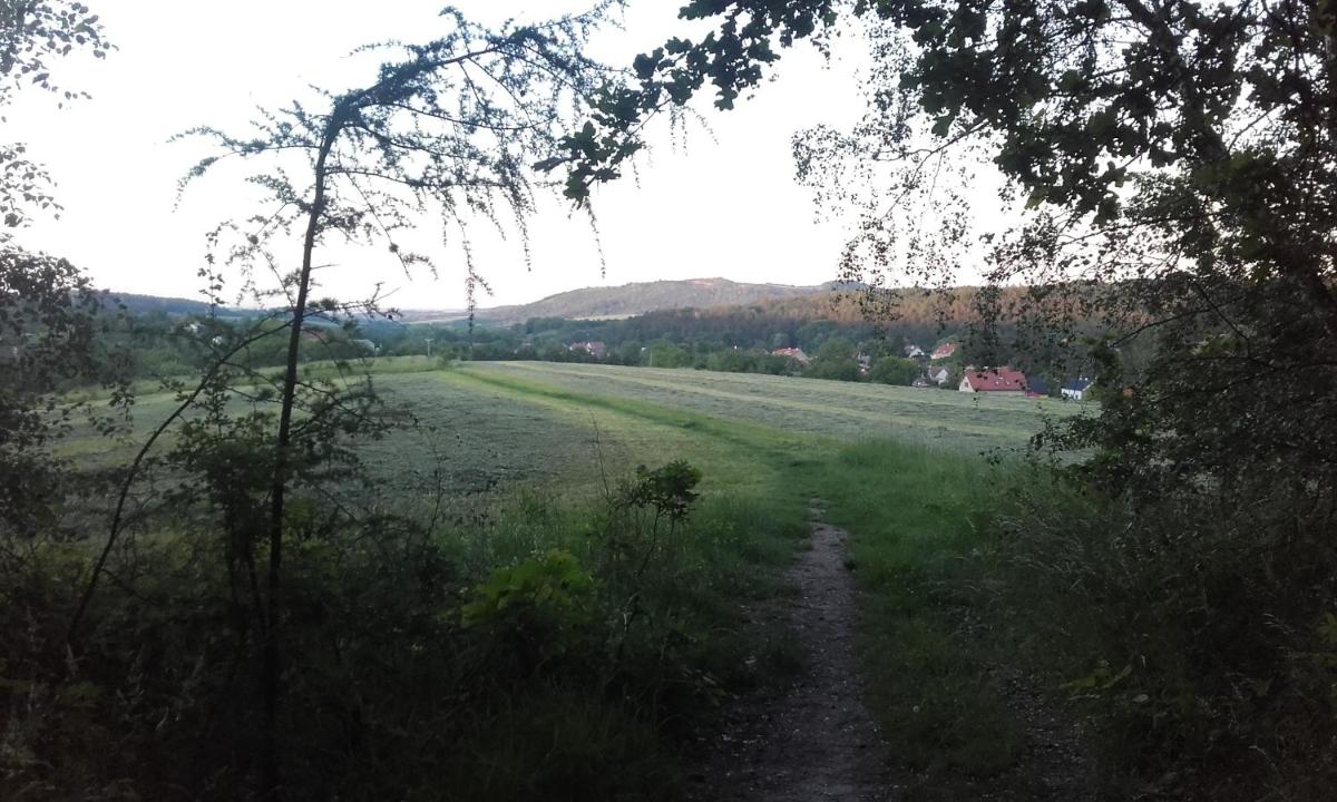 Malé útulné studio s koupelnou a kuchyňkou - Housity