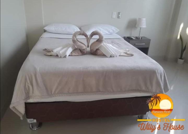 Hostel Willys House - Housity
