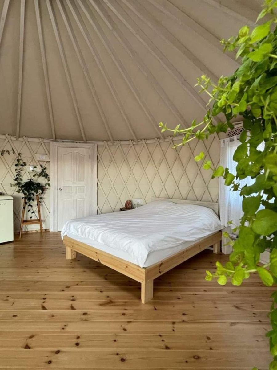 Splendor Of Dawn - yurt in the nature - Housity