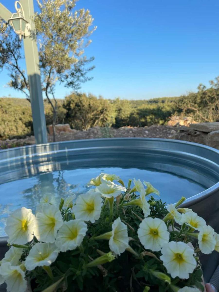 Splendor Of Dawn - yurt in the nature - Housity