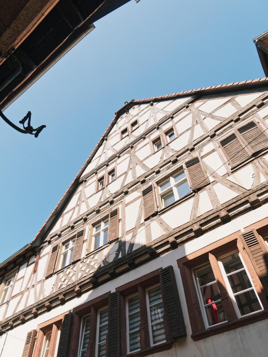 Le Haut Relais des Seigneurs - 5 mn Royal Palace de Kirrwiller - Housity