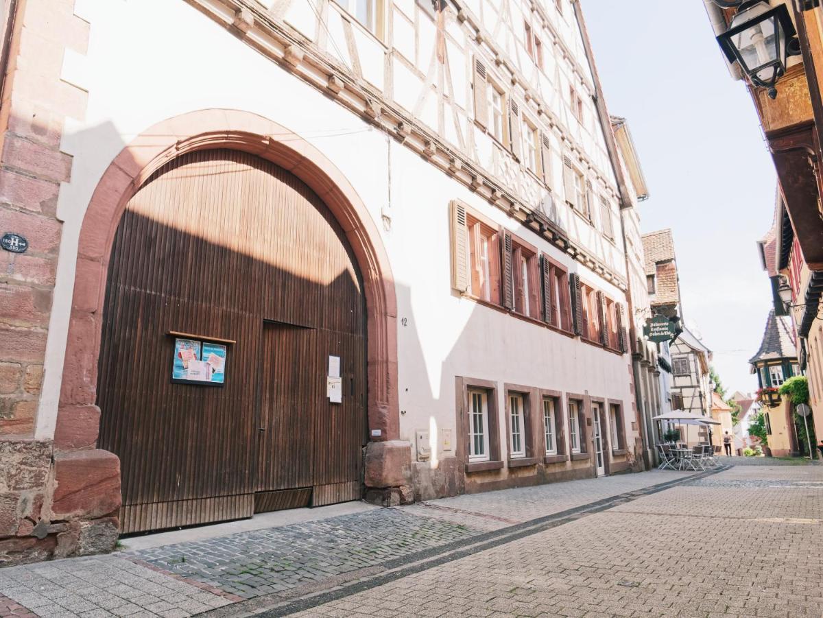 Le Haut Relais des Seigneurs - 5 mn Royal Palace de Kirrwiller - Housity