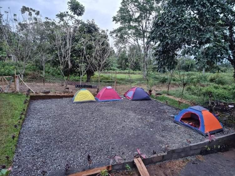 Shelo's happy place by the view - Housity