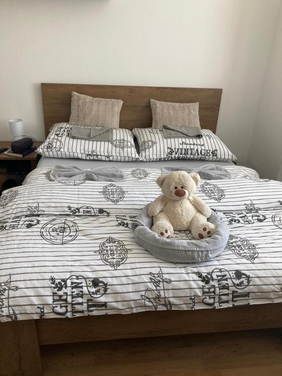 Bytový apartmán - Vejprty - Housity