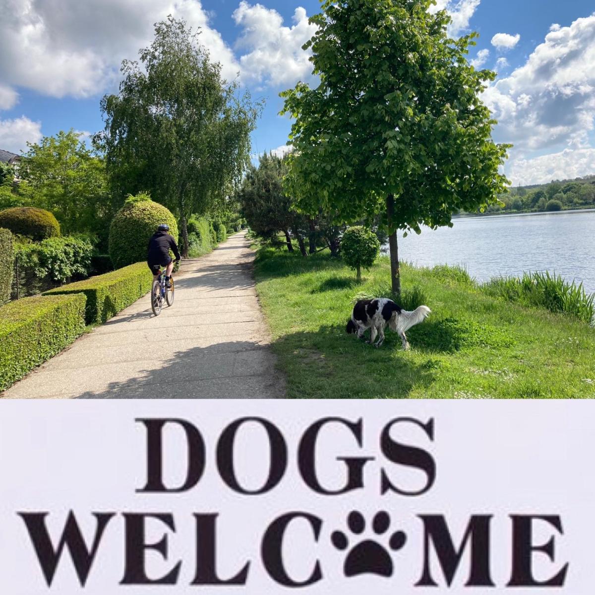 Suitetrails - Apartments near the pond