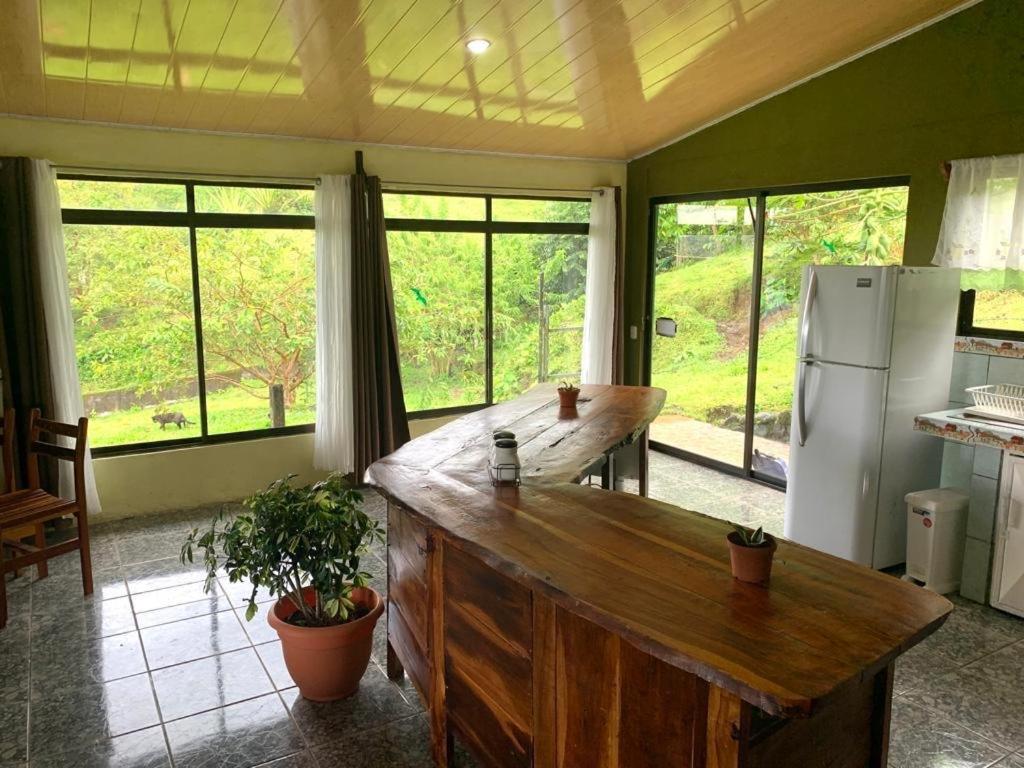 Ferreto`s House - Housity