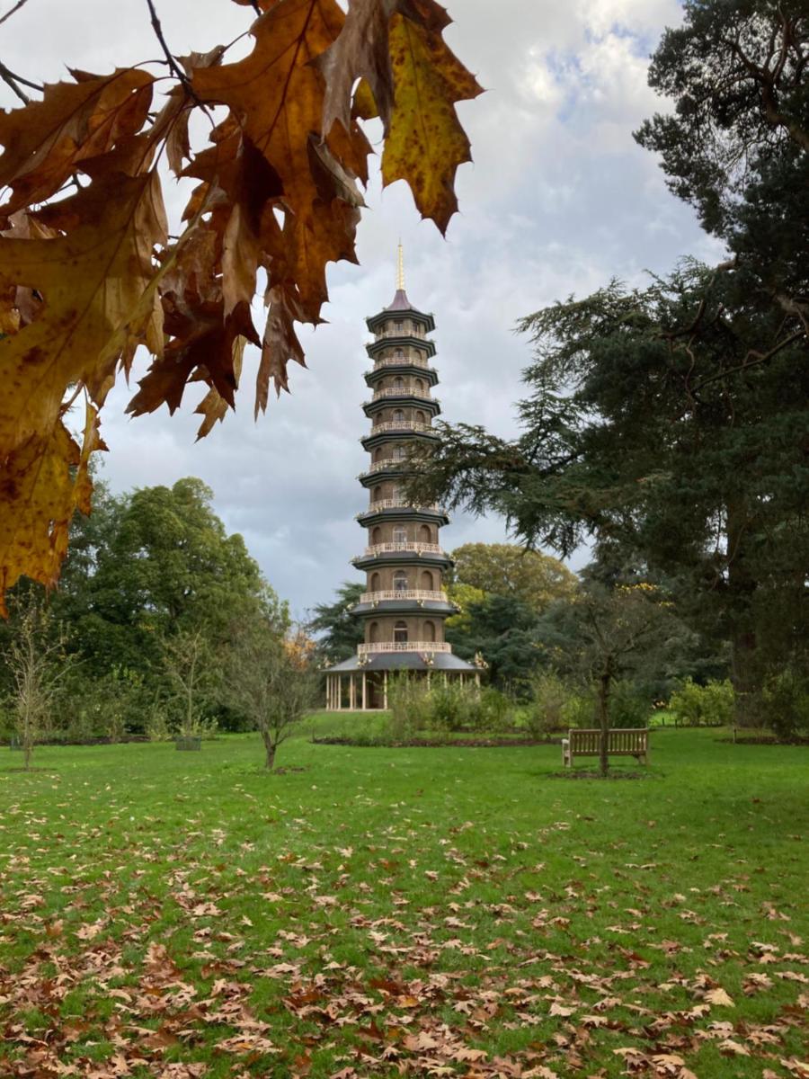 By the Pagoda- cozy garden flat by Richmond & Kew Gardens - Housity