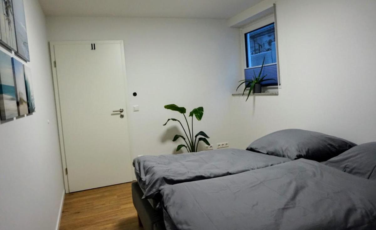 neue 2-Zimmerwohnung in Hochdorf - Housity