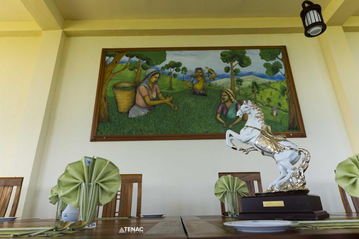 Nelinsa Resort and Spa - Housity