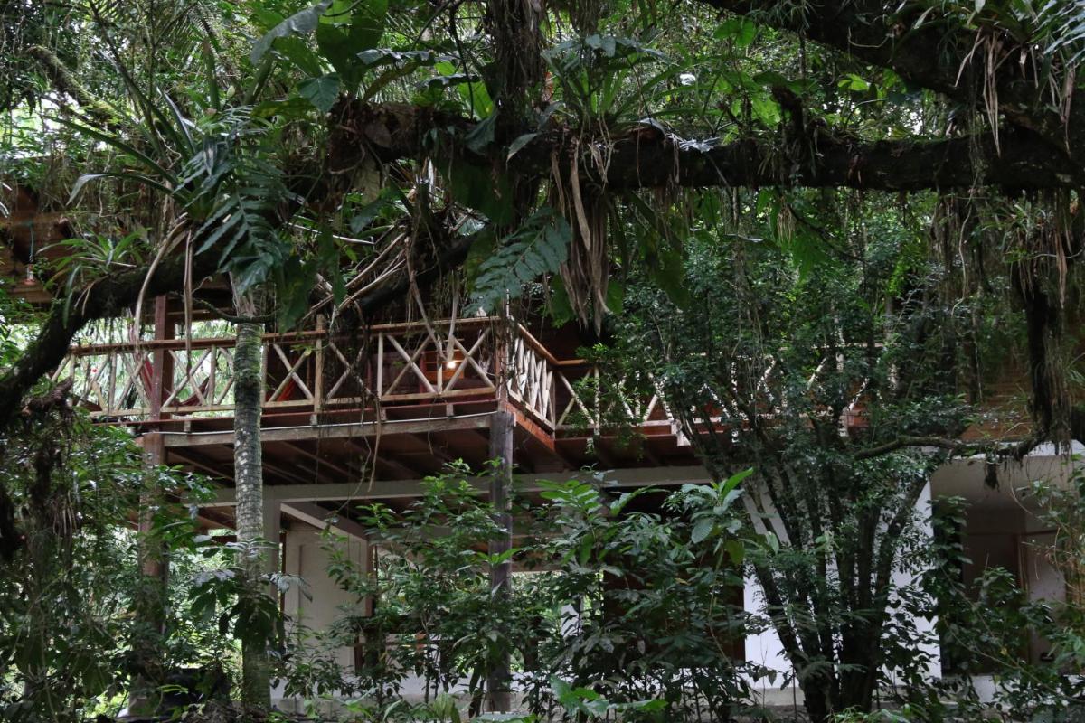 Caoni Riverside Suites - Birders Paradise by the river, Ecuadorian Chocó - Housity