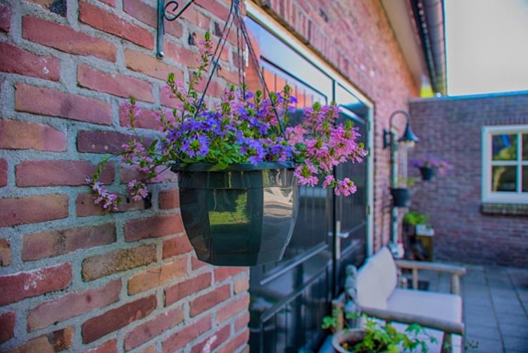 Guesthouse Valkenswaard - Housity