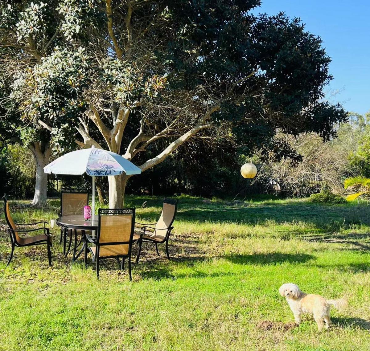 Rancho Garden Home - Housity