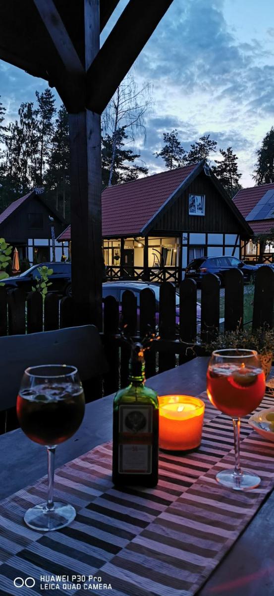 DWIE DAMY Na Gwizdówce 8 - Housity