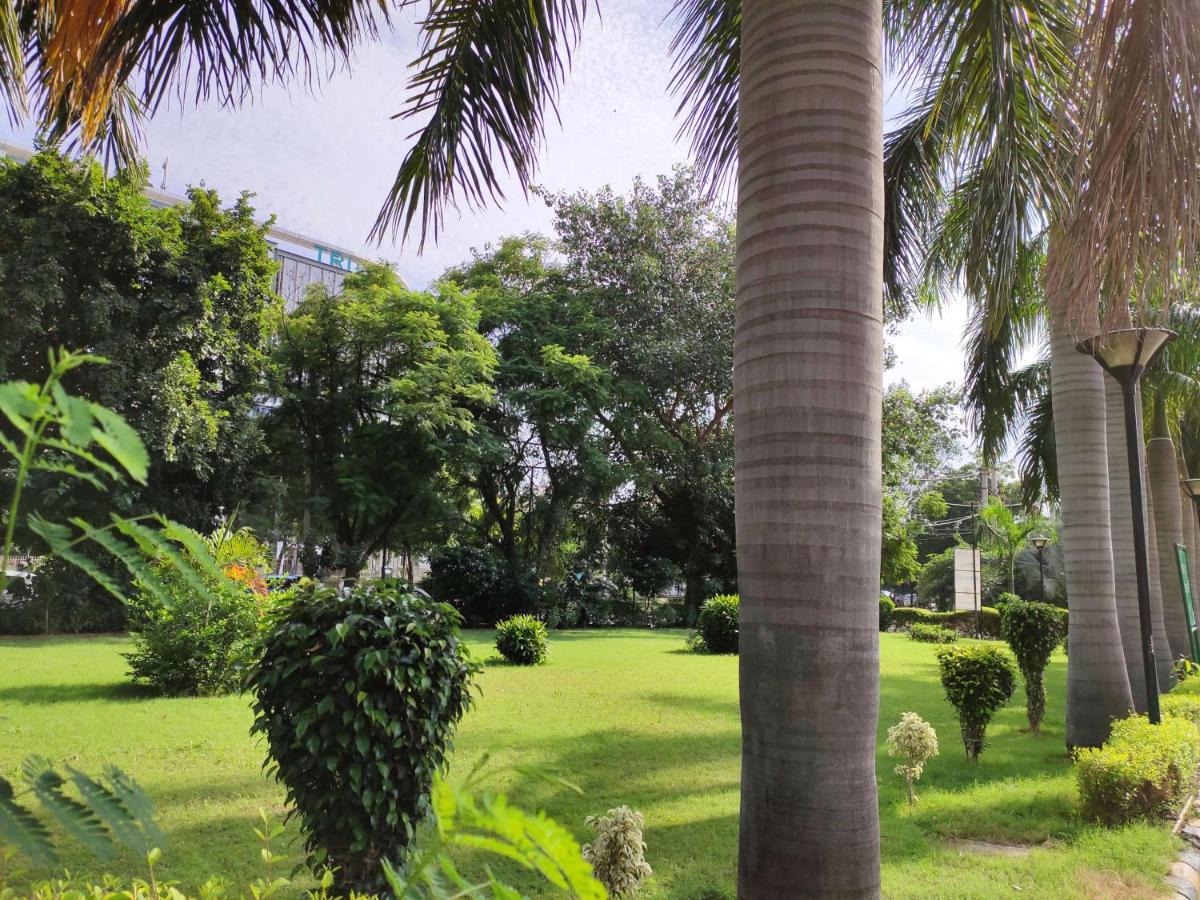 a palm tree in a park with a green field at Radisson Hotel Sector 29 Gurugram in Gurgaon
