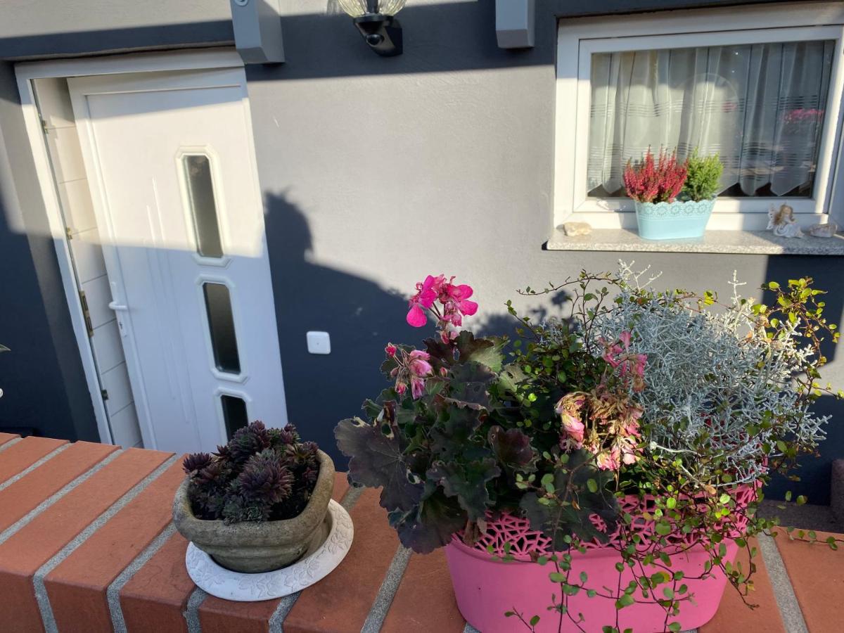 Ferienwohnung Rosenweg - Housity