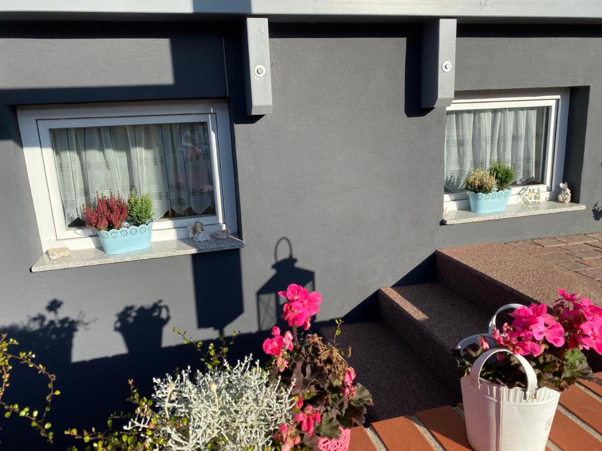 Ferienwohnung Rosenweg - Housity