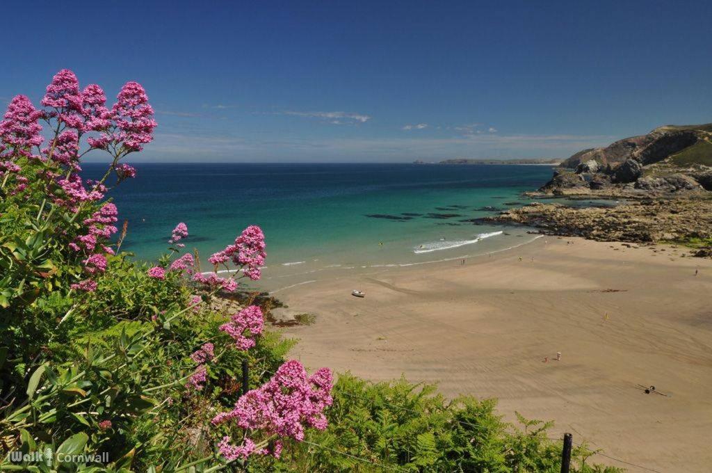 Cosy & Quirky Cottage nr Kynance cove - Housity
