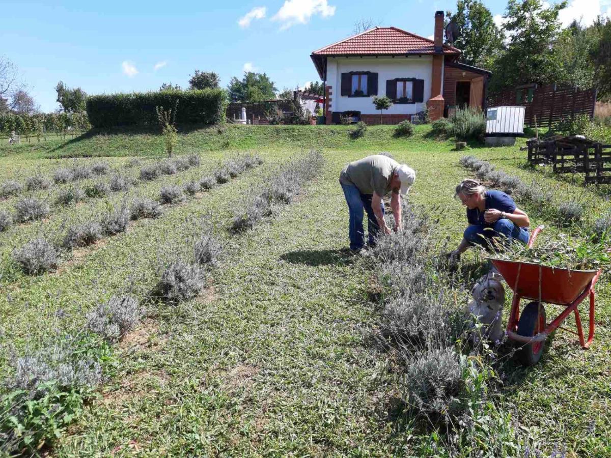 Kuća za odmor Nanina bajka - Housity