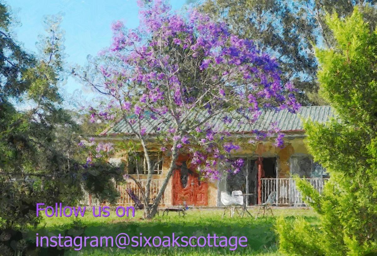 Six Oaks Cottage - Housity