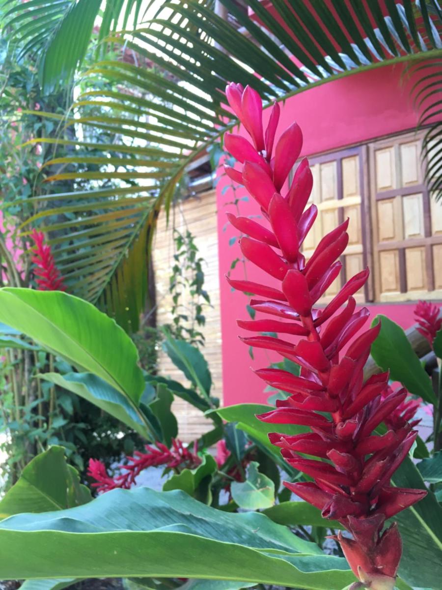 Vila Hibisco Itacaré - Housity
