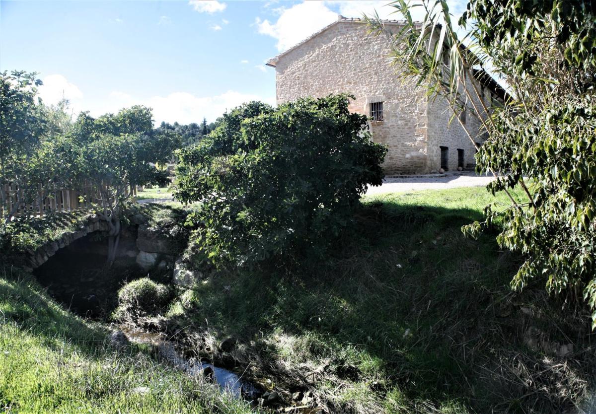Hort de L'Aubert - Housity