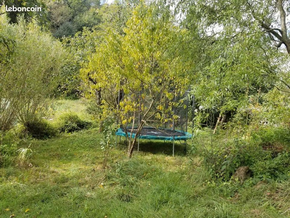 Chalet douillet - Housity