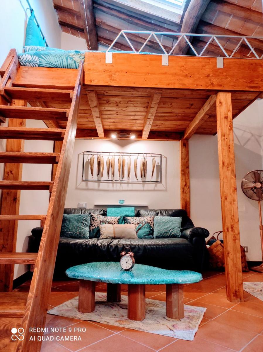 RoHouse -Experience- - Housity