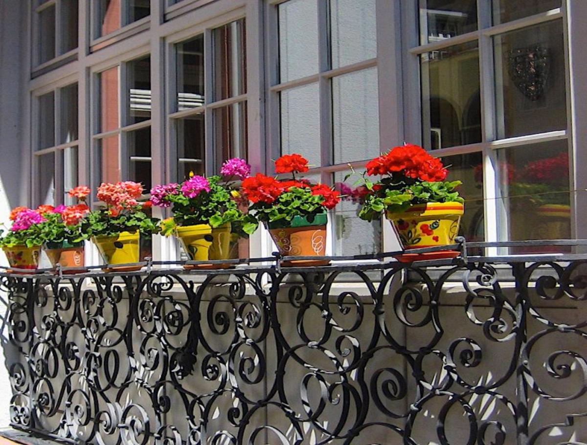Hotel Barbara - Housity