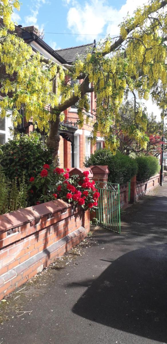 Bird Song Guest House Old Trafford - Housity