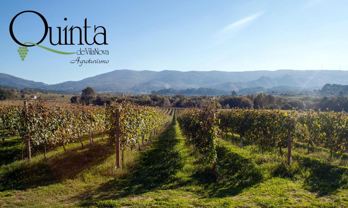 Quinta De Vila Nova - Agroturismo - Housity