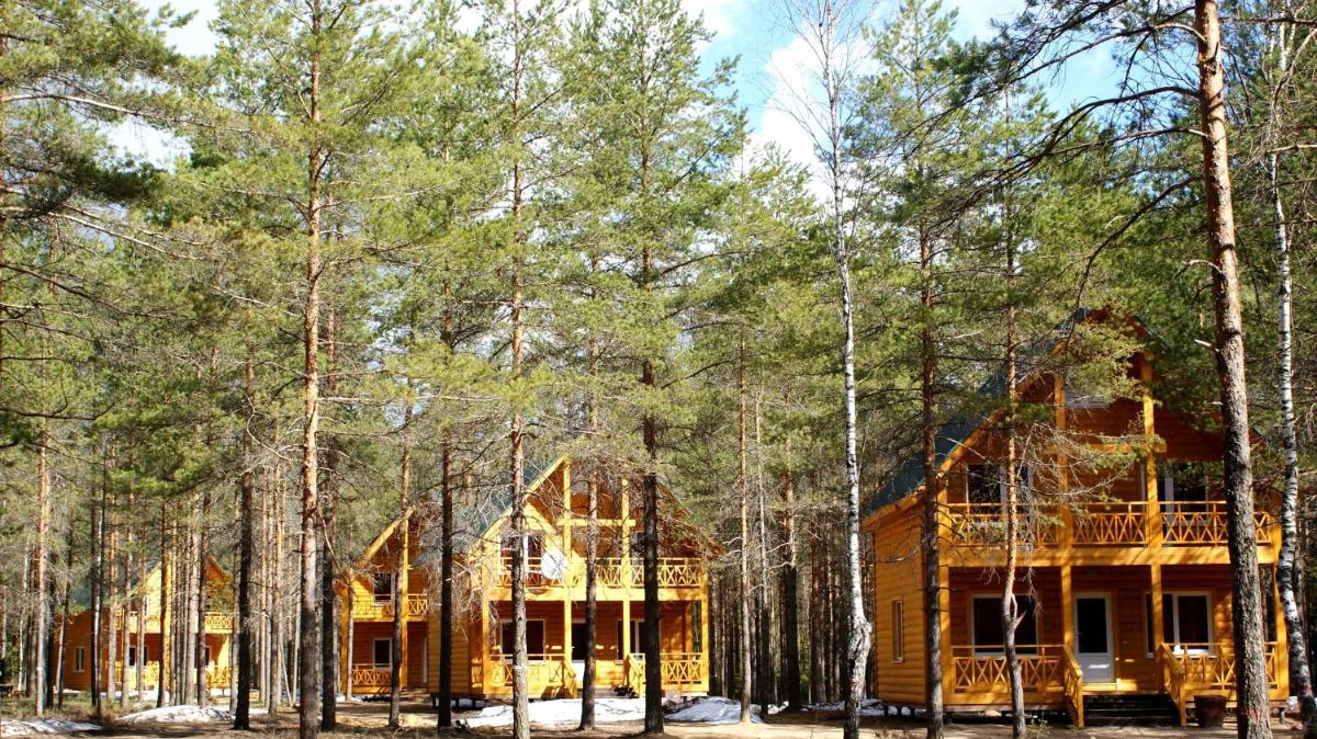 Ribatskiy Khutor - Housity