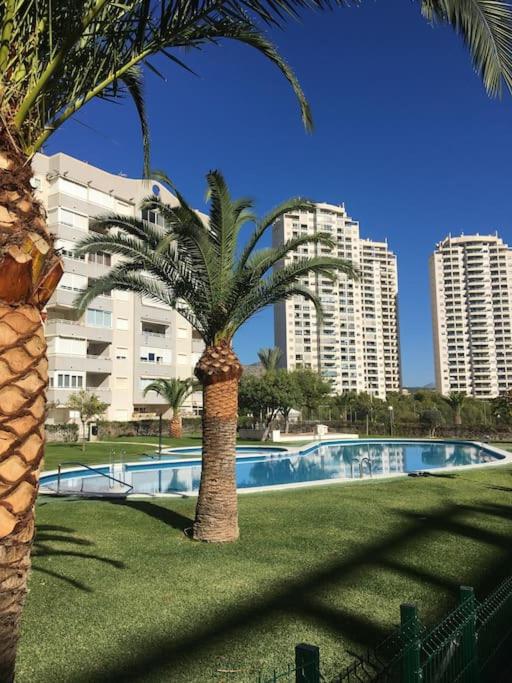 Tu apartamento en la playa, el relax que buscas - Housity