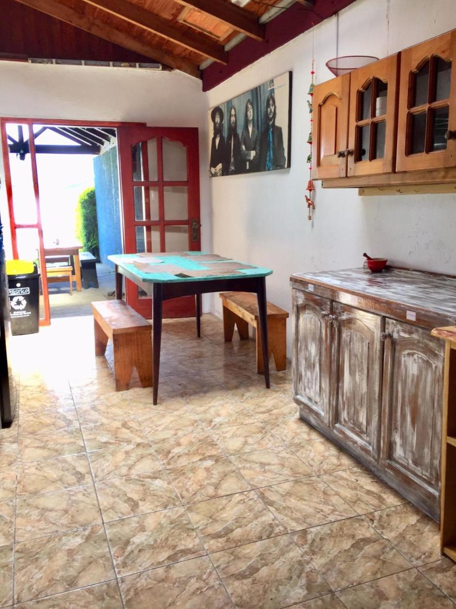 Hostel Raíz - Housity