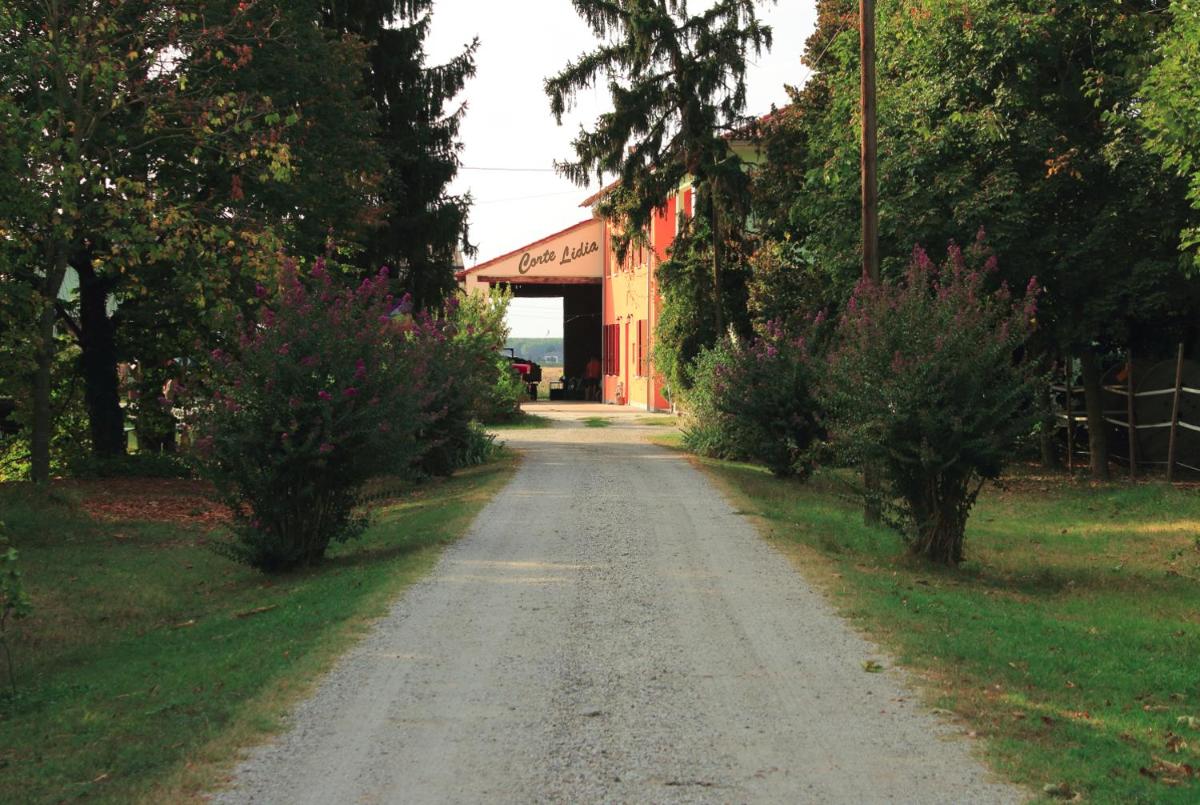 Agriturismo Corte Lidia - Housity