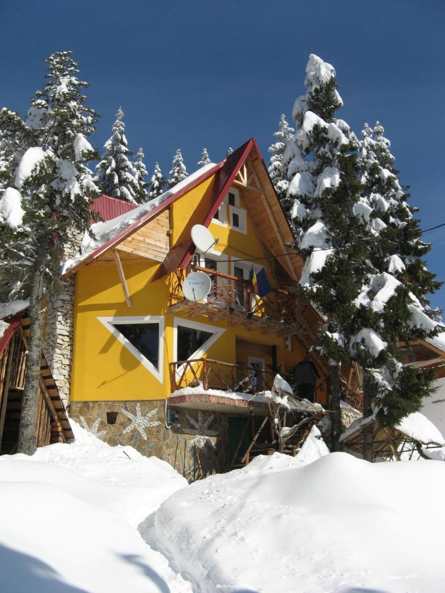 Casa Floare de Colt - Housity