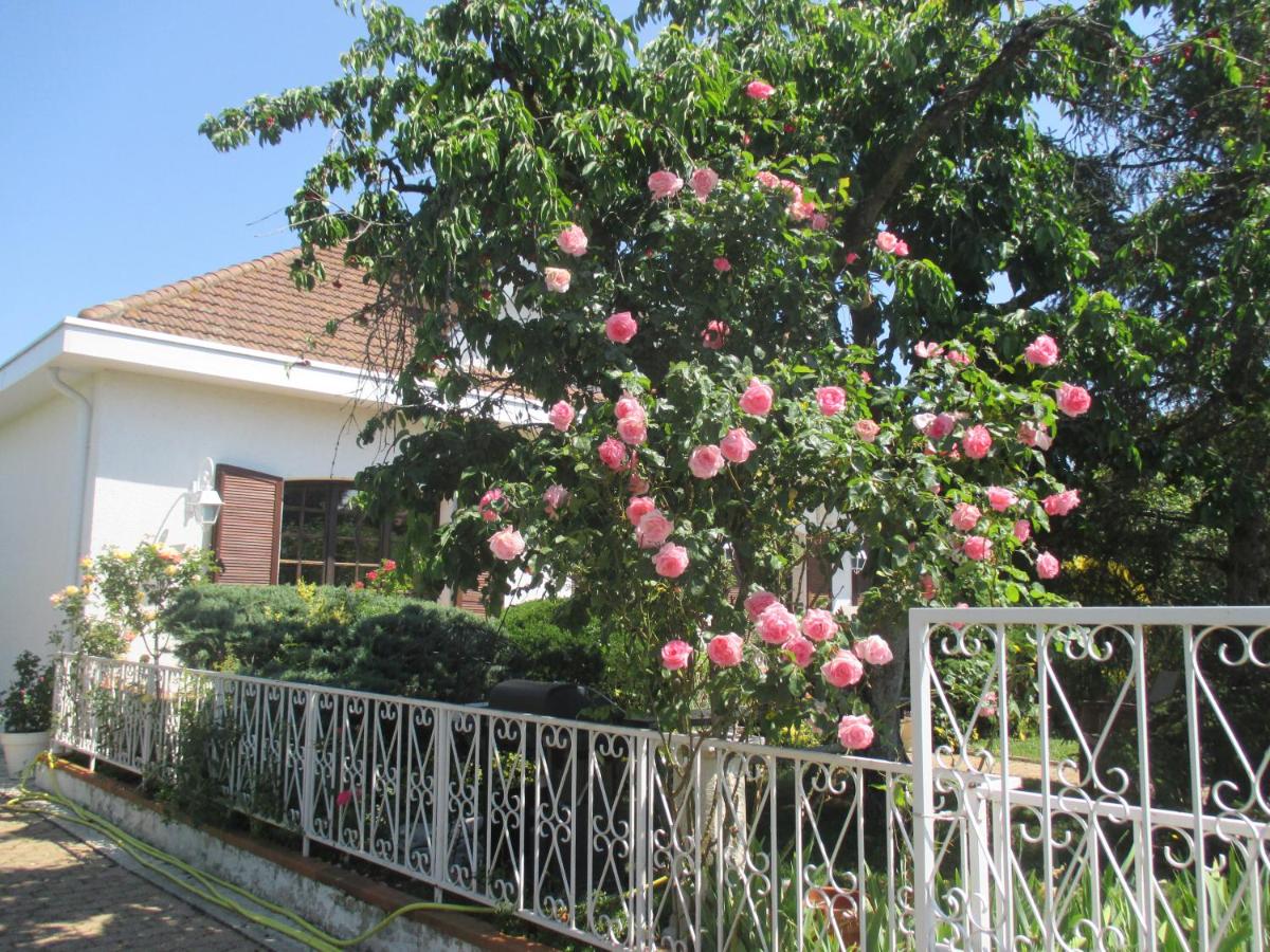 Les Roses de Rita - Housity