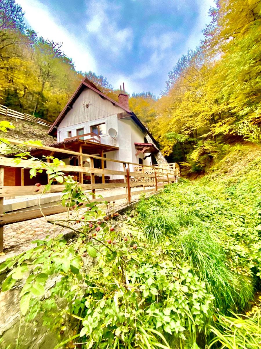 Căsuța din Pădure - Housity