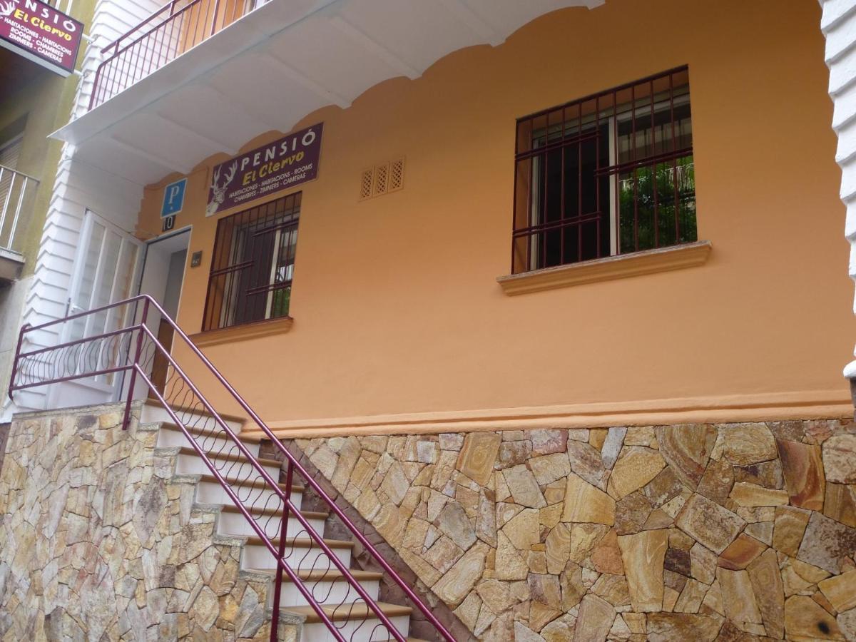 Pension El Ciervo - Housity