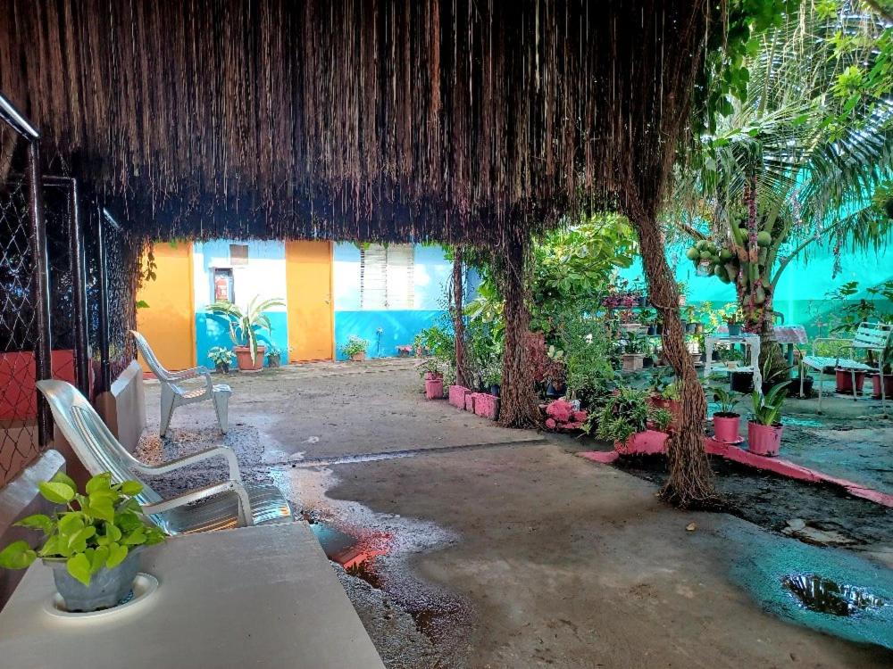 Pete's inn - Housity