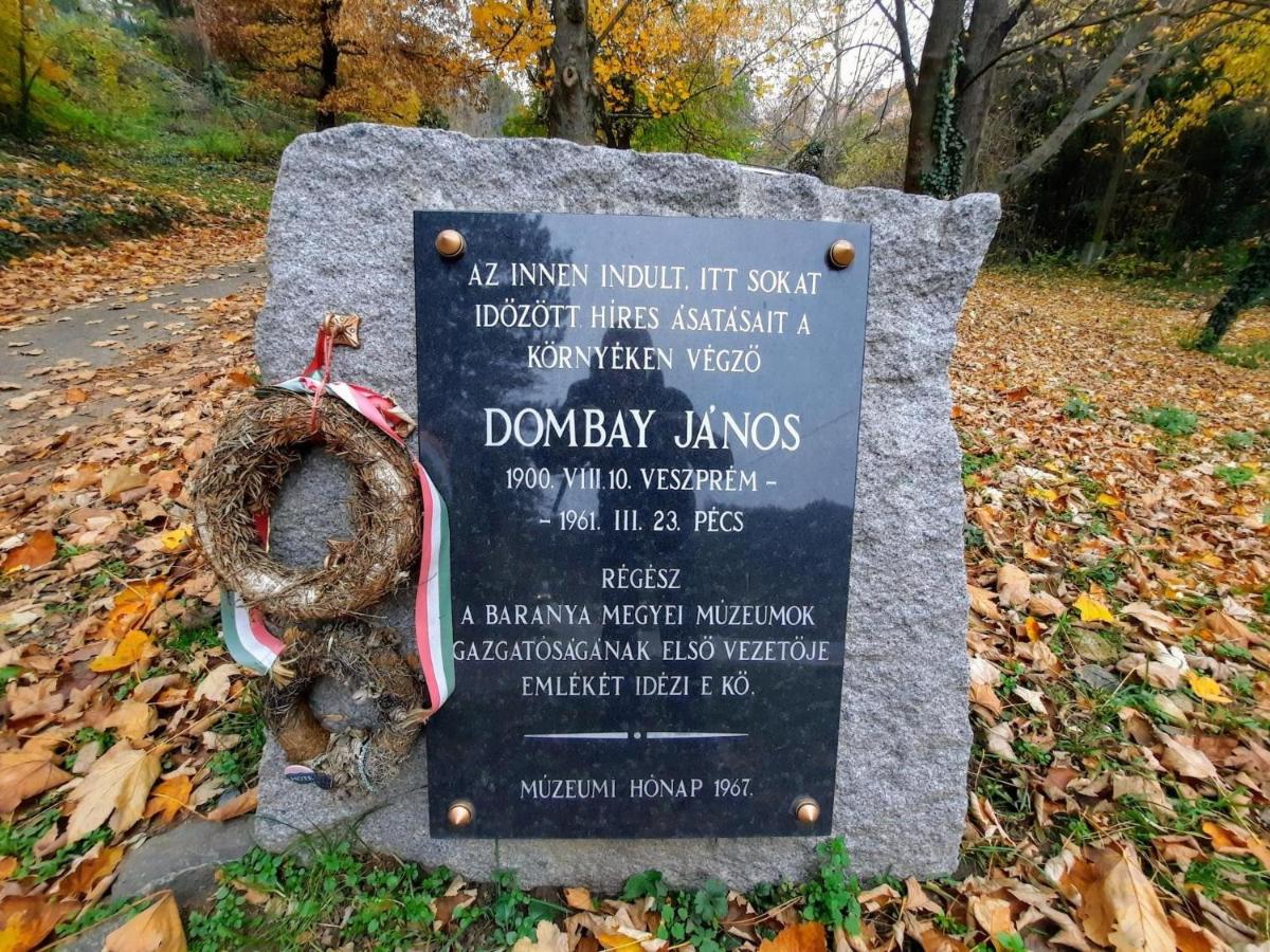 Dombay House - Housity