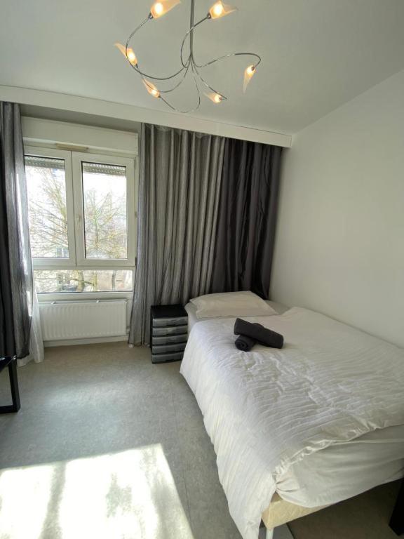 Nancy hyper centre, chambre privé chez l'habitant en colocation - Housity