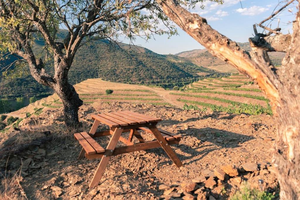 Casa do Losango - the Douro river as a border - Housity