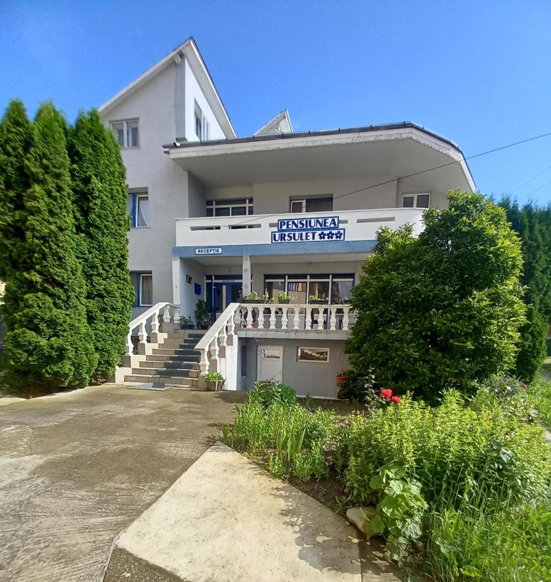 Pensiunea Ursulet - Housity