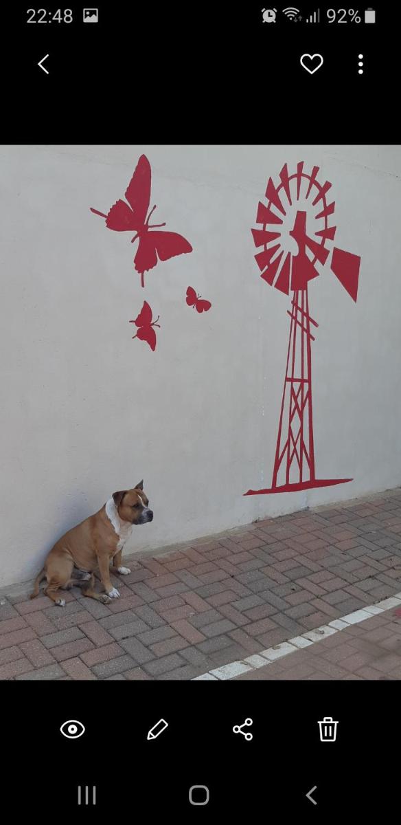 Die Rooi Windpomp - Housity