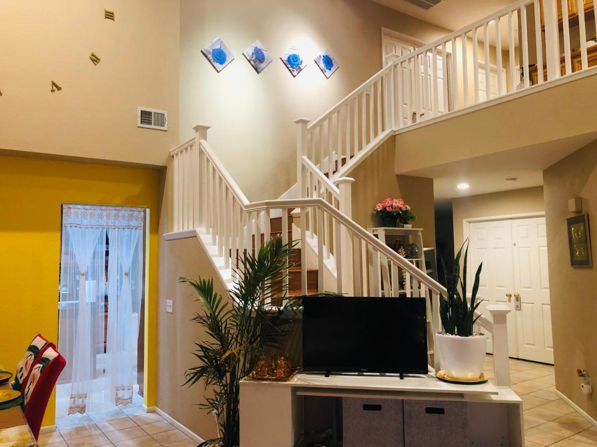 Balloons and Wine - Housity