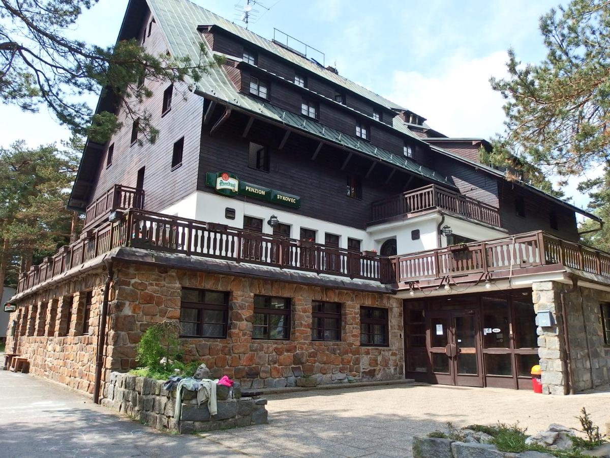 Penzion Sykovec - Housity