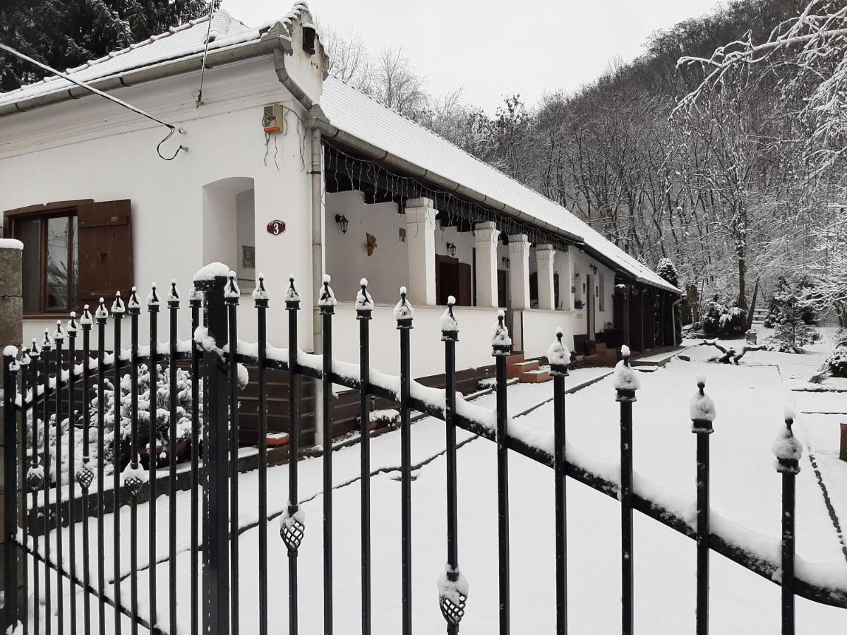 Bodza Vendégház - Apartmanház - Housity